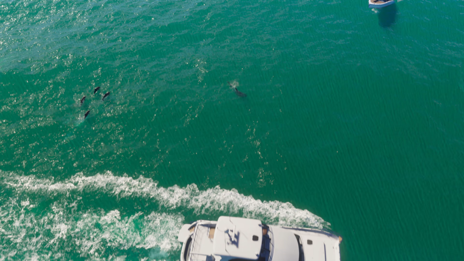 A white luxury yacht moving through clear Leonida water in official GTA 6 footage